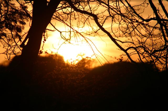 On Golden Wave image