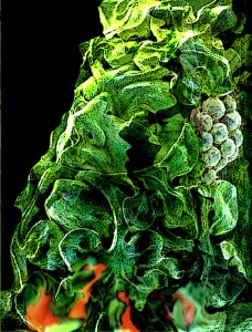 Steve Green Man Dyingv4AA