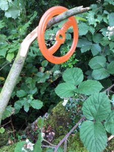 Stick disc and beyond