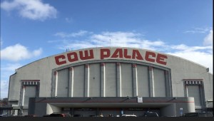 Cow Palace