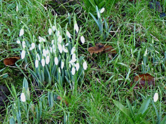 january hol 2016 018