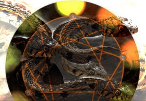 Water Snake HydraFlatAA