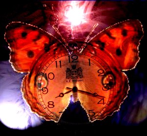 Butterfly Watch for Nine Deadly Butterfly