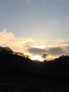 Gawain's enchanted forest