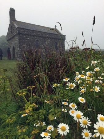 Flowers at St Non's AA