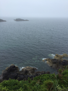 Whispers four - 1 (10)