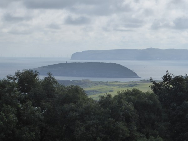 Windmill life - 1 (17)