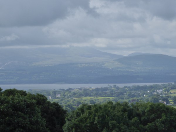 Windmill life - 1 (18)