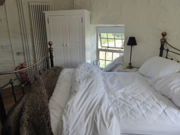 Windmill life - 1 (19)