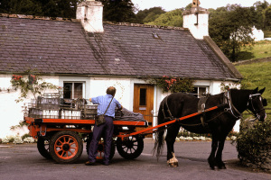 Eddy Miller delivering the milk...