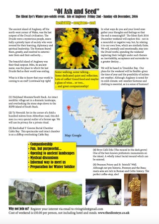 Anglesey screen grab for WordPress