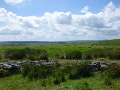 snake-adder-barbrook-merin-stone-beeley-derbyshire-ani-130