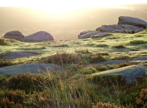 circles-time-higger-gardom-arbor-carl-wark-barbrook-rowtor-dawn-097