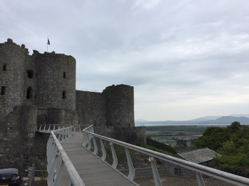 Harlech Castle and estuary ace