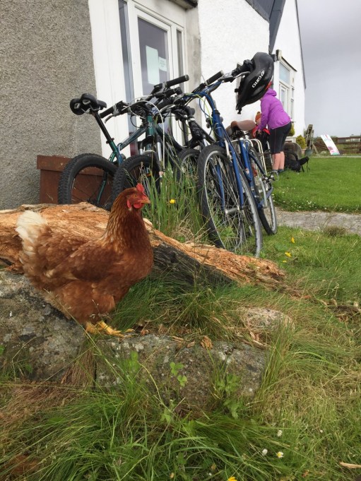 SE Lighthouse blog 12Jul17 - 1 (4)