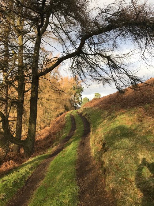 Bakewell Final Day - 3