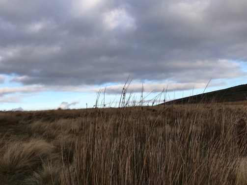 Bakewell Final Day - 8