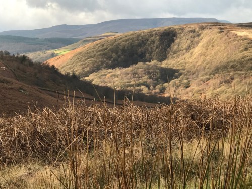 Bakewell Final Day - 9