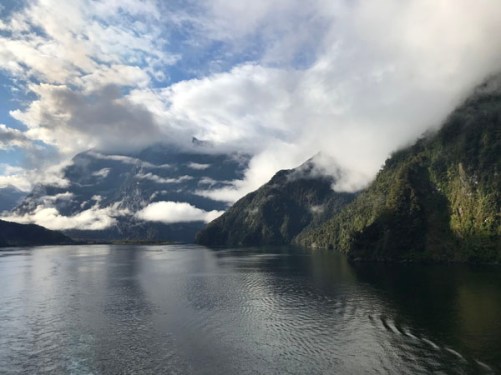 cruise new zealand fjords - 20