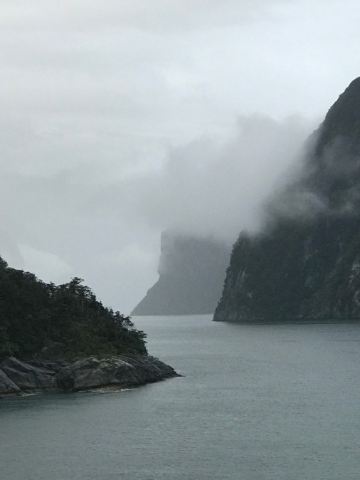 cruise new zealand fjords - 6