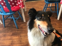 Misti window - 1 (1)