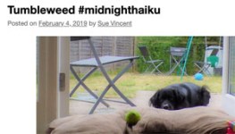 Screenshot SueFurry sm